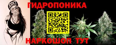 a pvp Анжеро-Судженск
