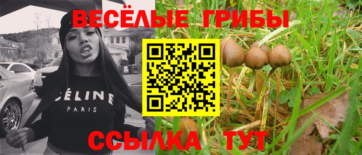 Галлюциногенные грибы Psilocybine cubensis  Псилоцибиновые грибы Psilocybine cubensis  Вход с VPN  Бугуруслан 